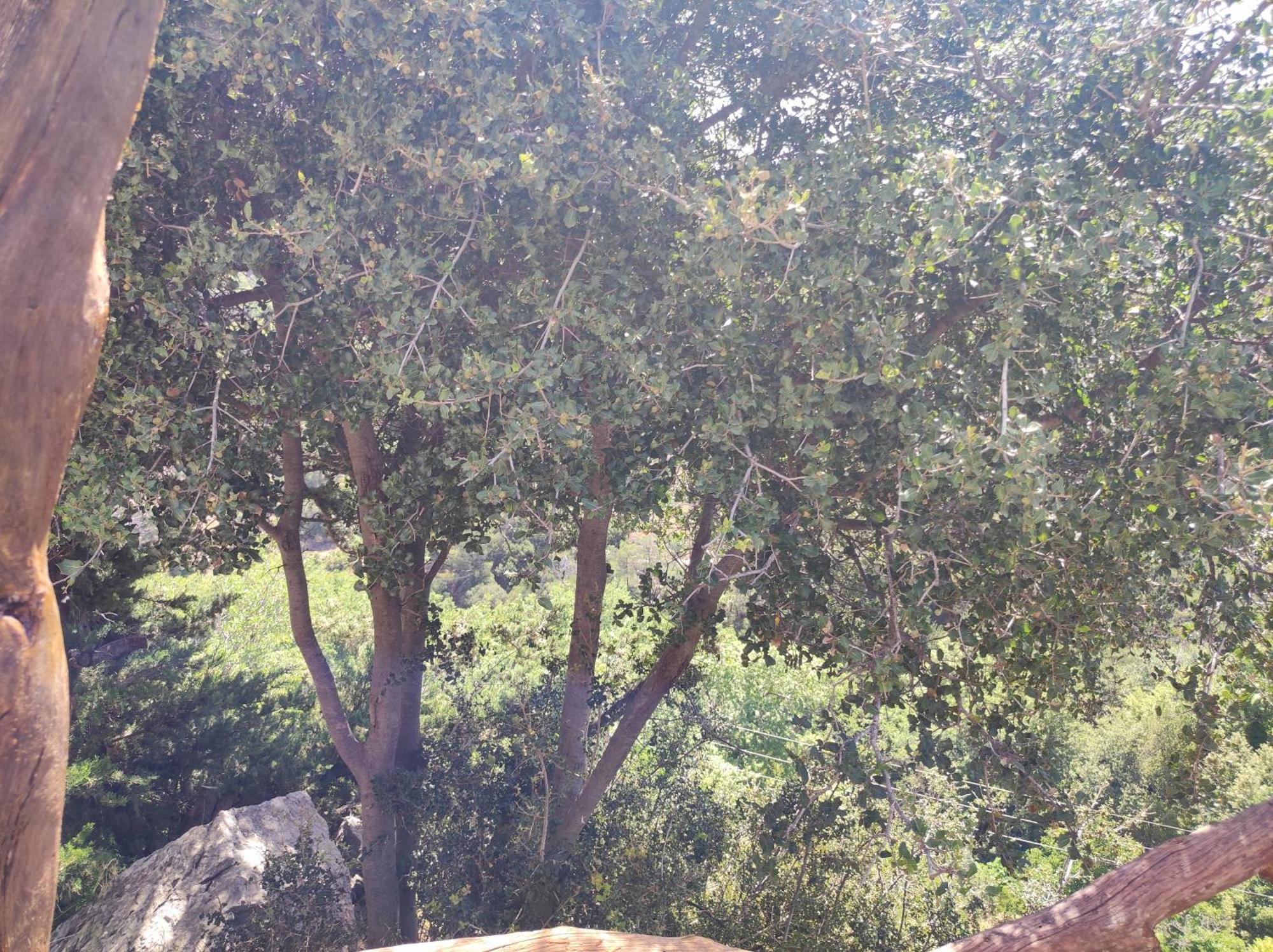 הוילה Kato Simi Kato Symi House מראה חיצוני תמונה