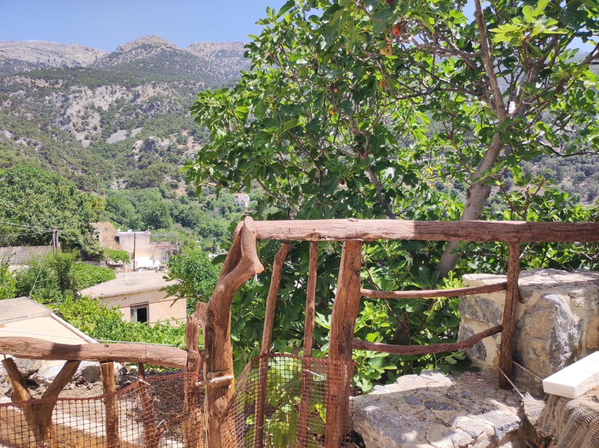 הוילה Kato Simi Kato Symi House מראה חיצוני תמונה